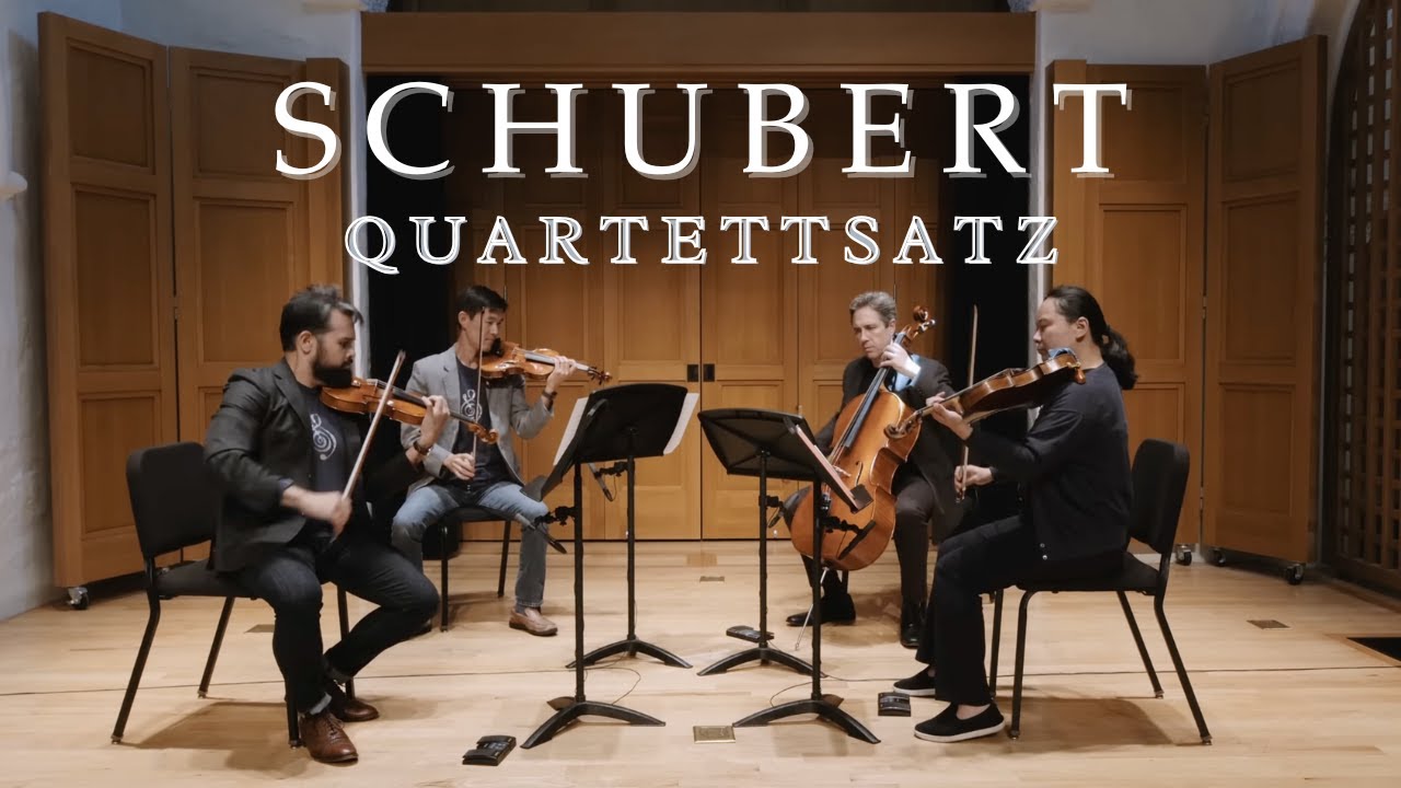 Quartettsatz: Franz Schubert - Vijay Gupta, Jin-Shan Dai, Teng Li and Jonathan Karoly