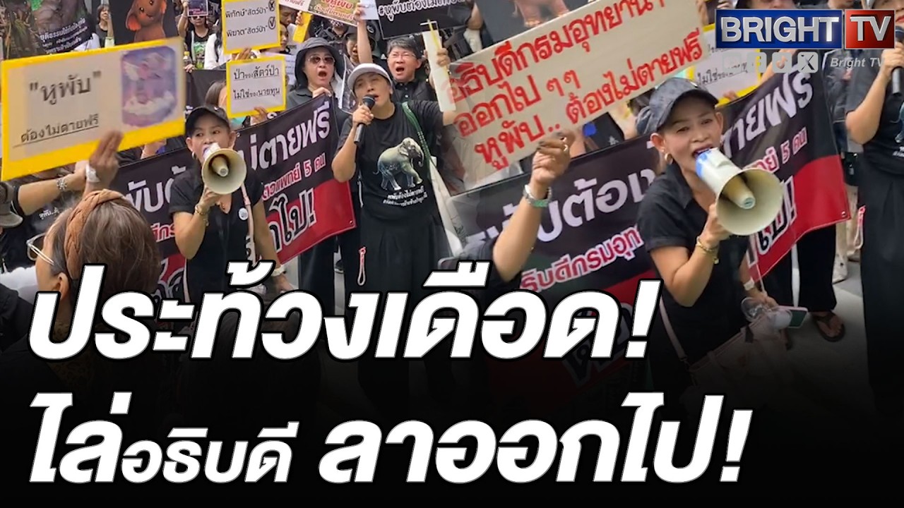 ปชช.กลุ่ม”ช้างสีดอหูพับ”ไล่อธิบดีกรมอุทยานแห่งชาติสัตว์ป่าและพันธุ์พืชออกจากตำแหน่งโดยไม่มีเงื่อนไข