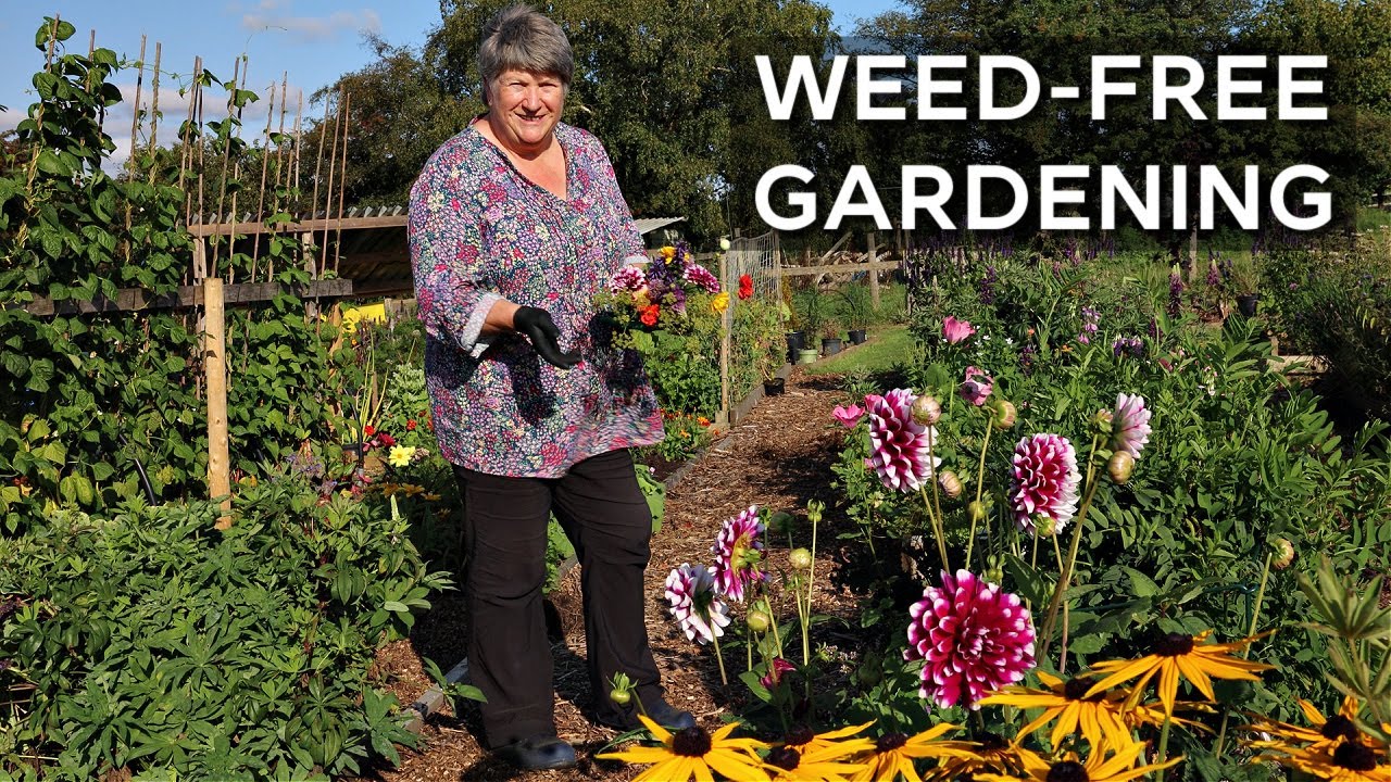 7 Essential Weeding Tools for a Highly Productive Garden