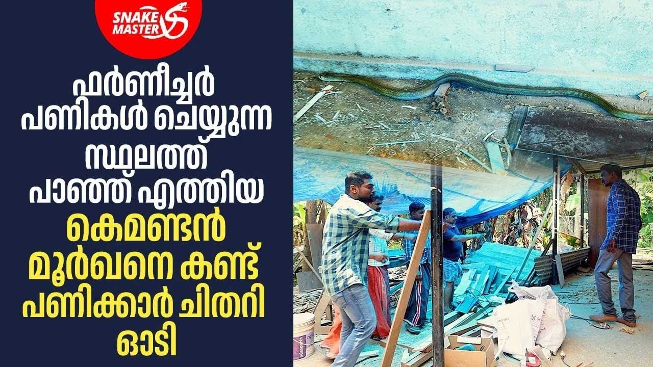 EP 24 | കെമണ്ടൻ മൂർഖനെ കണ്ടാൽ തന്നെ അറ്റാക്ക് വരും | Cobra Rescue | Vava Suresh | Snakemaster