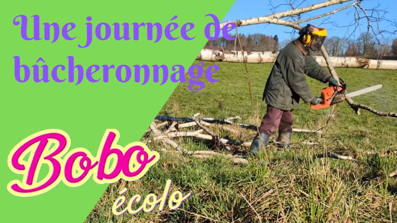 Bucheronnage #astuce bucheron #viealacampagne #viesaine