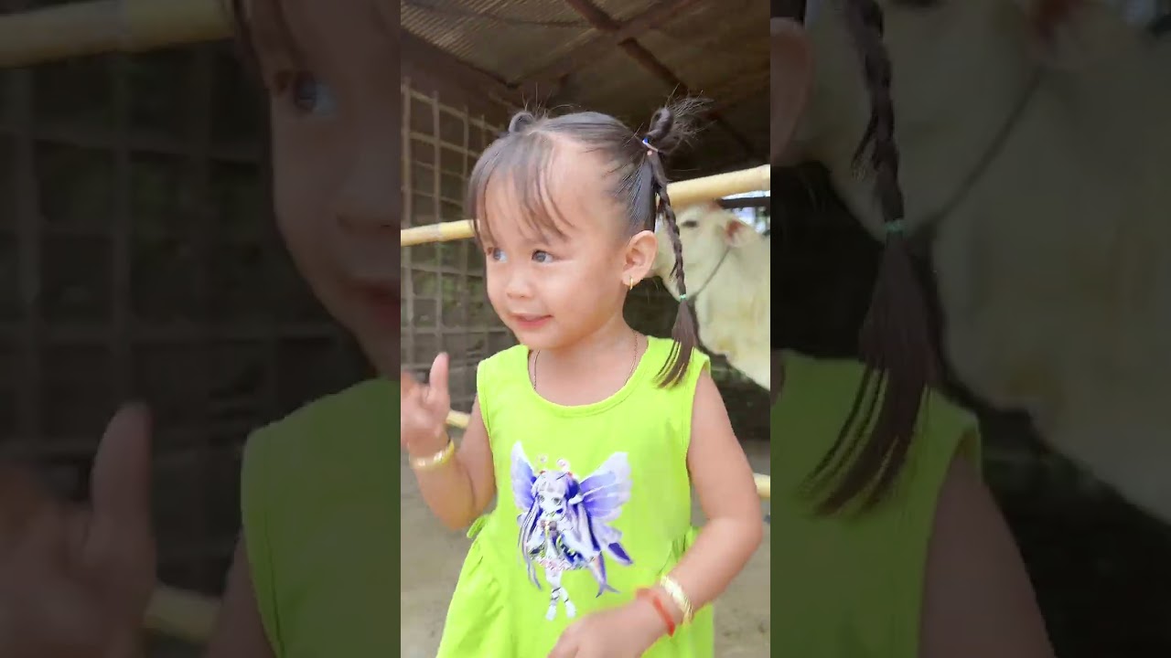 លីកា​ ពូ​កែបោកញាំណាស់​ 😂
