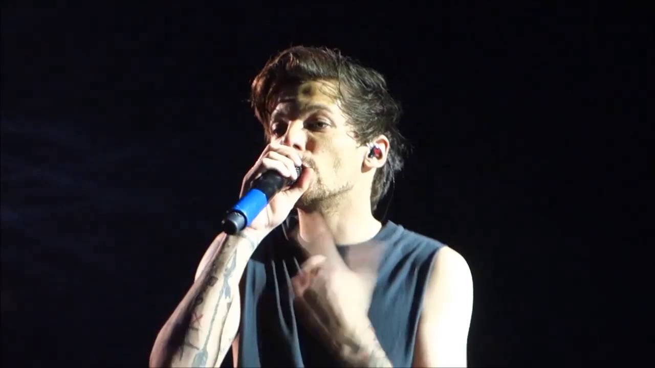 One Direction OTRA tour moments 34