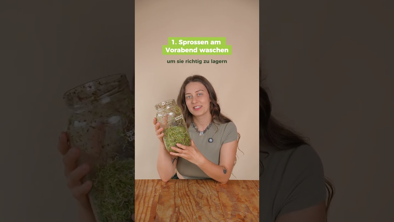 Sprossen richtig aufbewahren