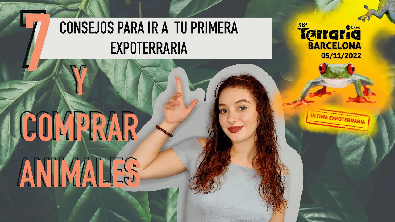 7 CONSEJOS para ir a tu primera EXPOTERRARIA Y COMPRAR ANIMALES 🦎❌🐁#expoterraria