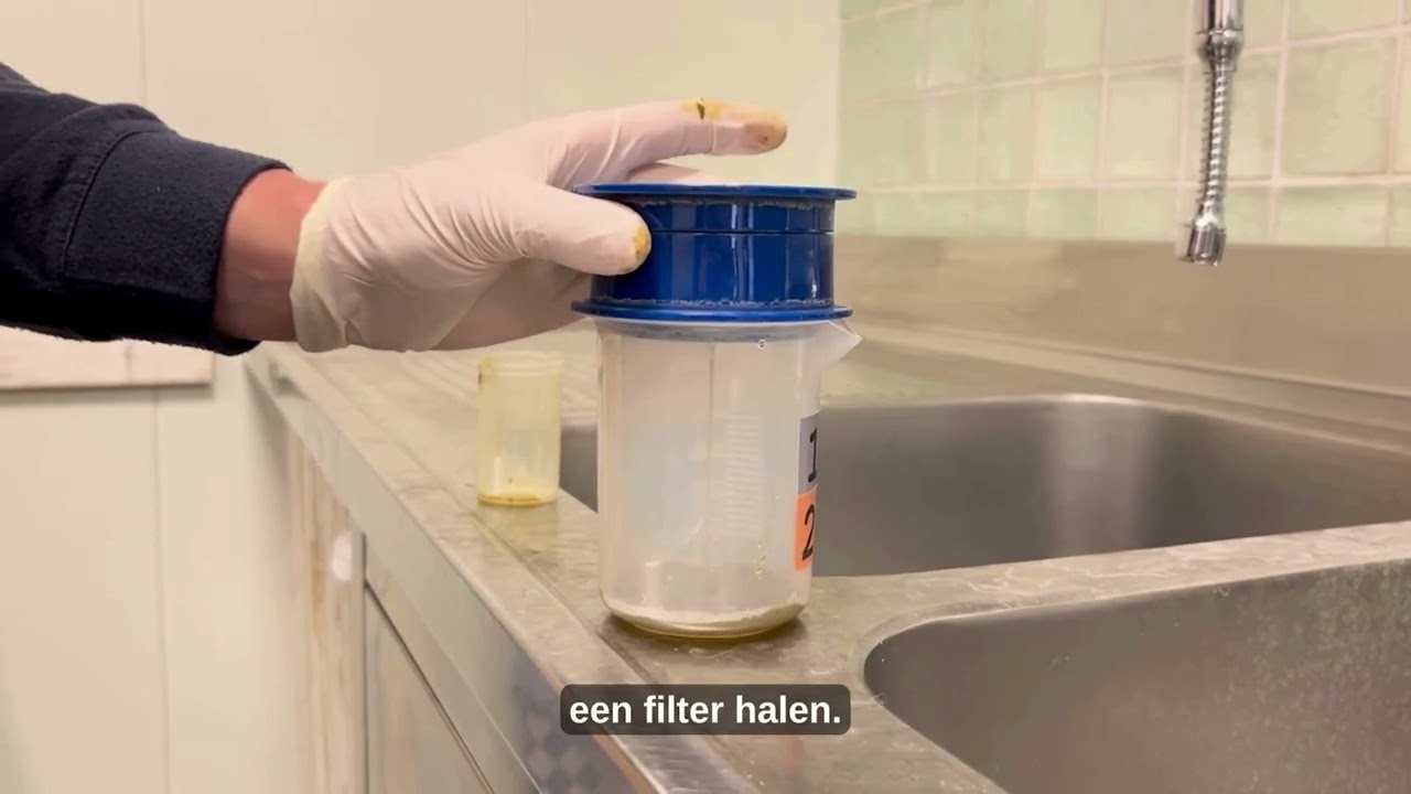 Rianne van Helden Nederlands