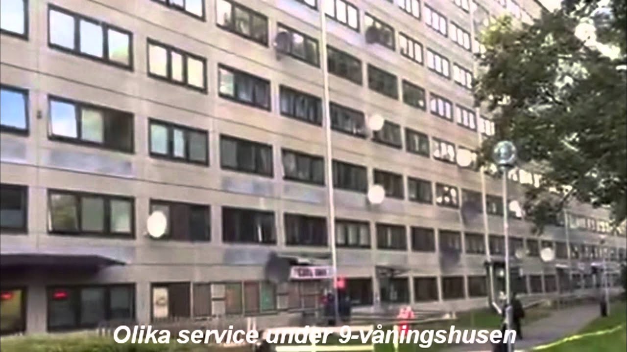 Välkommen till vår förort Hammarkullen