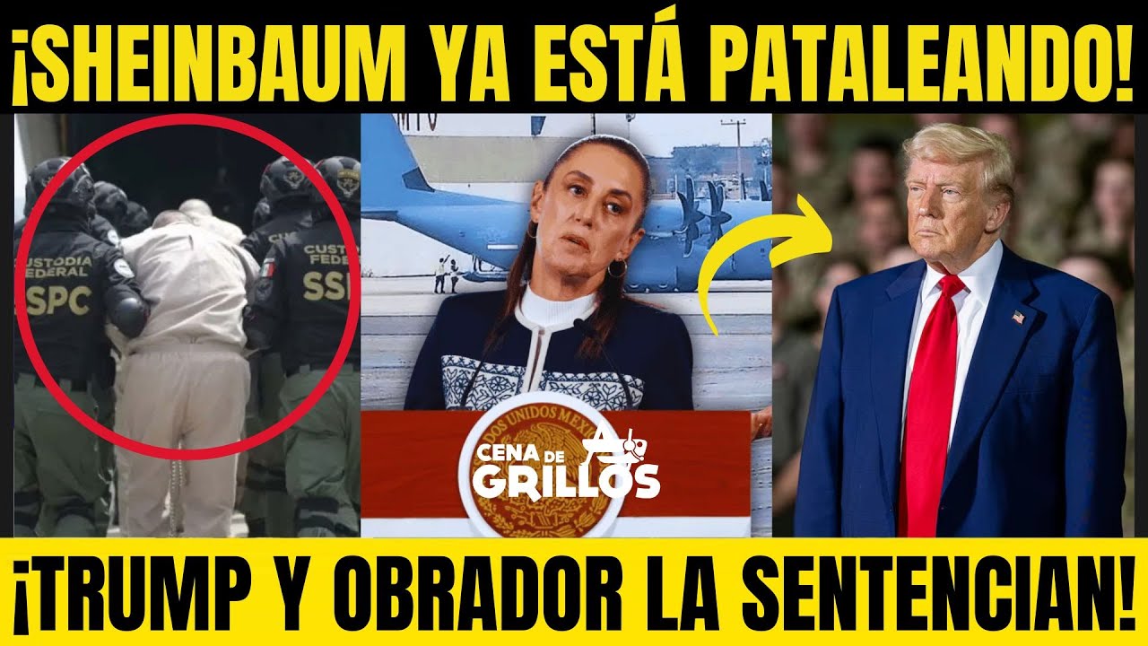 ¡ALARMA en PALACIO! ¡SHEINBAUM ESTÁ ACORRALADA! ¡TRUMP y OBRADOR la SENTENCIAN! Cena de Grillos