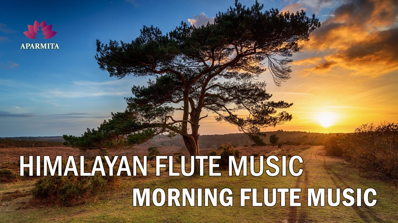 Morning Flute Music | Himalayan Flute Music | Relaxing Music | (बाँसुरी) Aparmita Ep. 91