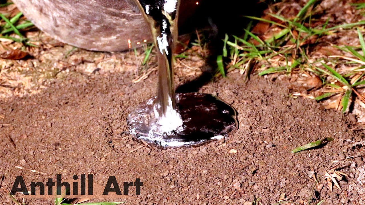 Casting a Carpenter Ant Colony with Molten Aluminum (Cast #110)