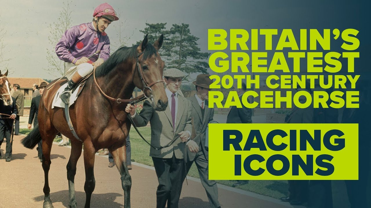THE PRIDE OF BRITAIN | Brigadier Gerard | Racing icons