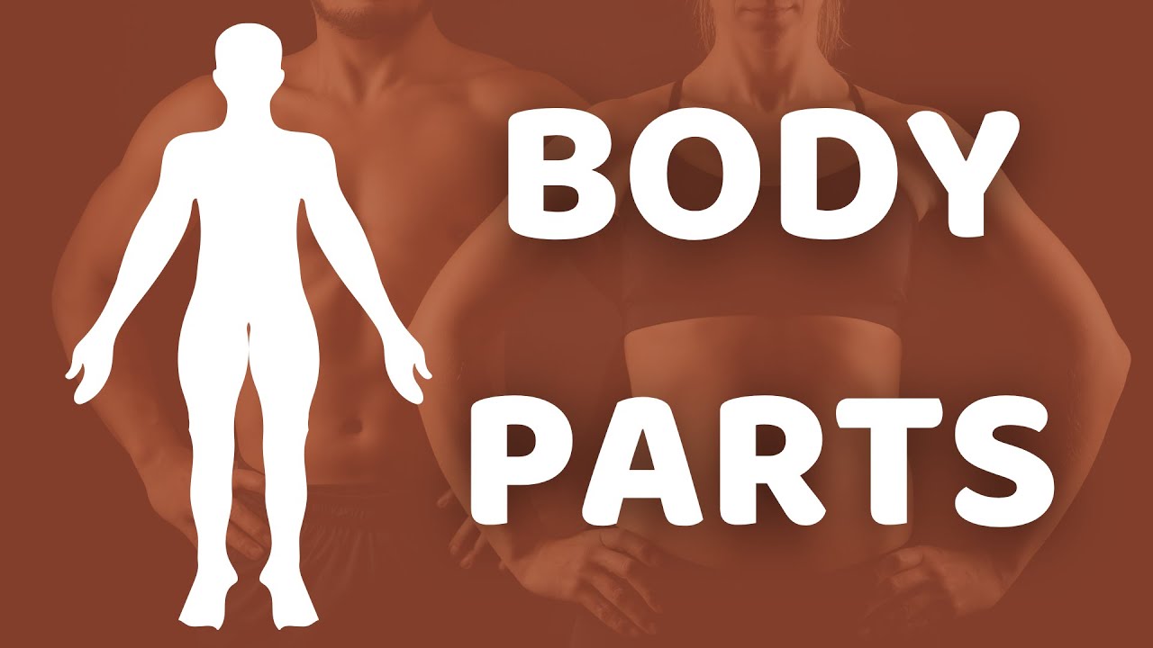 50 words about Body Parts| Common Vietnamese Vocabulary