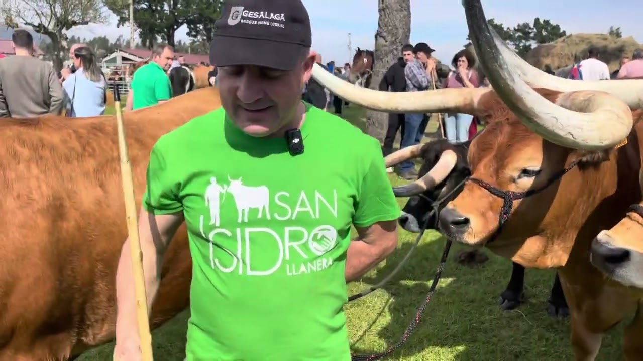 Entrevista a Mario Nogueira, ganadero gallego que acudió con sus bueyes a San Isidro.