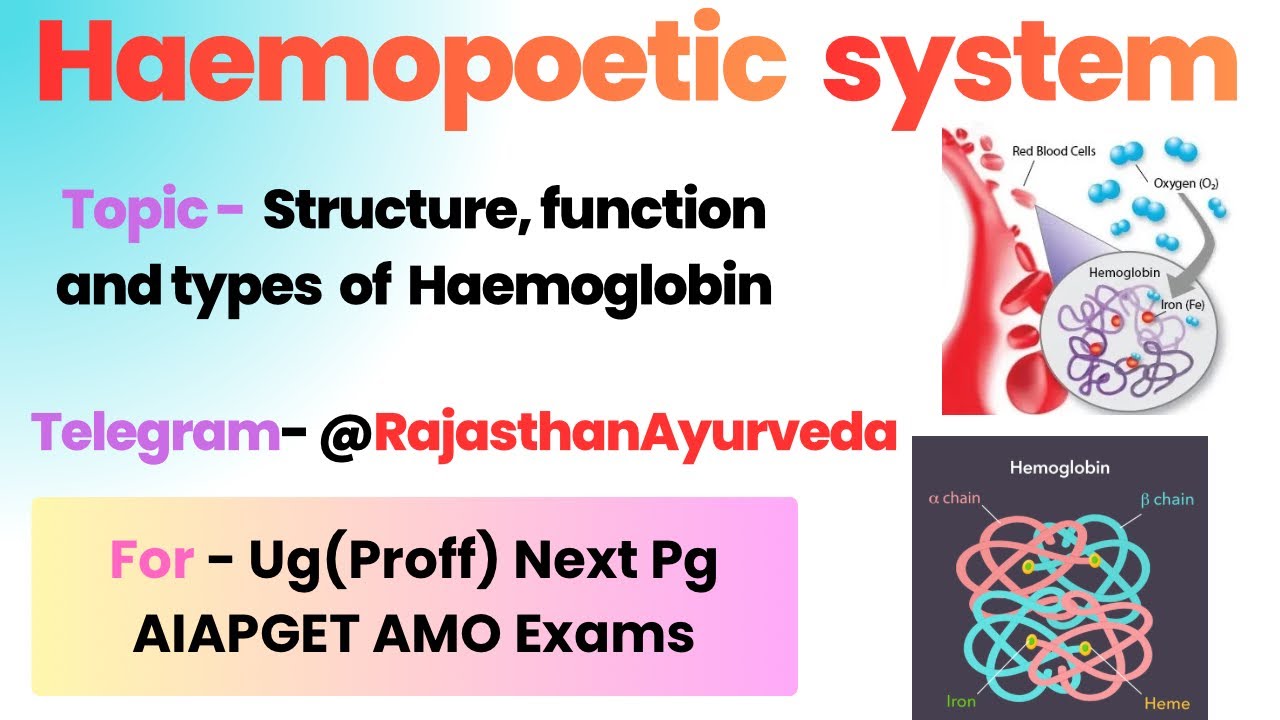 Structure, types and functions of haemoglobin In Hindi And English Ug Next AIAPGET Exams Prepration