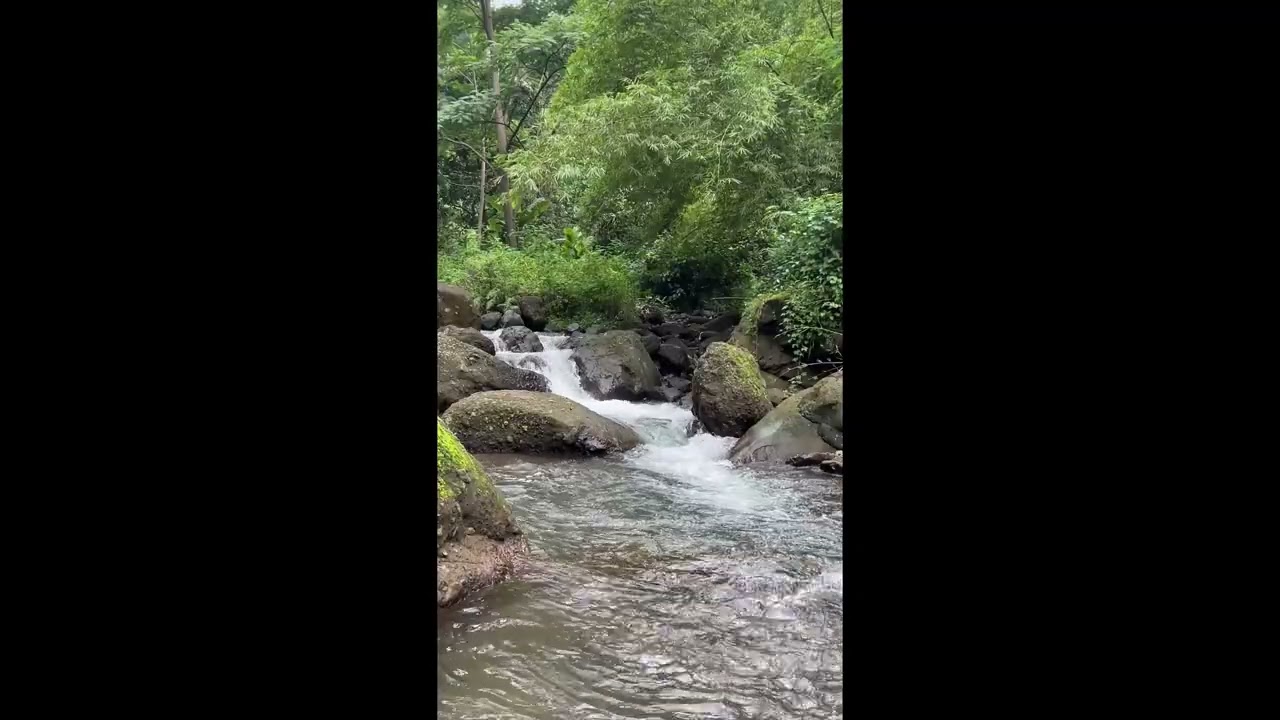 Relaxing River Sounds | Stress Relief, Depression & Anxiety Healing