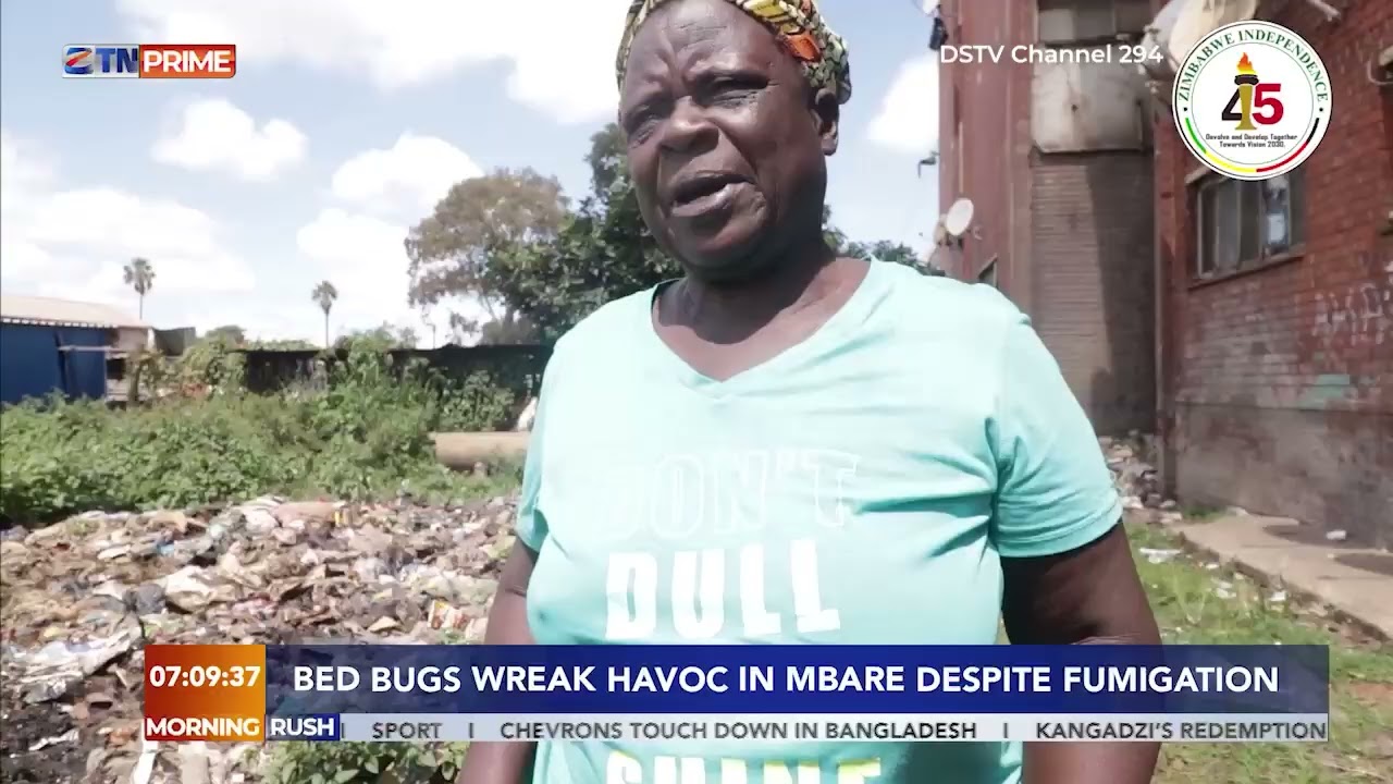 Bed bugs wreak havoc in Mbare despite fumigation