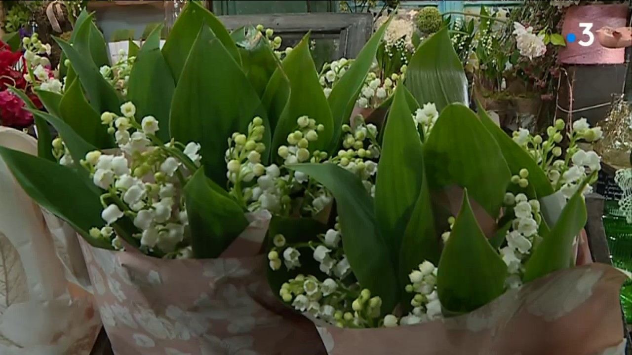 Le muguet, symbole du 1er mai à Toulouse comme ailleurs