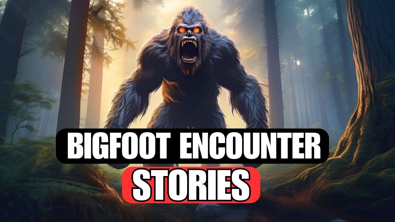 Bigfoot Encounter Stories: Class A Encounters From The US