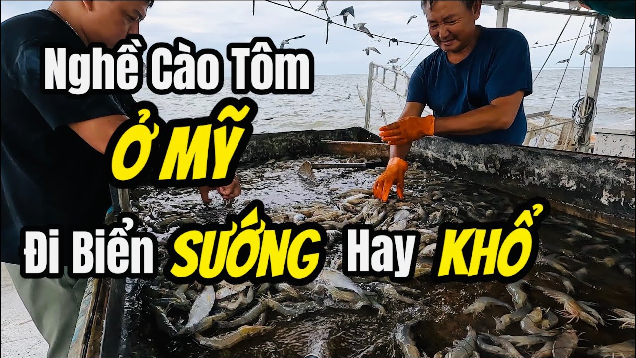Cuộc Sống Mỹ - Một Ngày Cùng Ngư Dân Miền Tây Ra Biển Cào Tôm