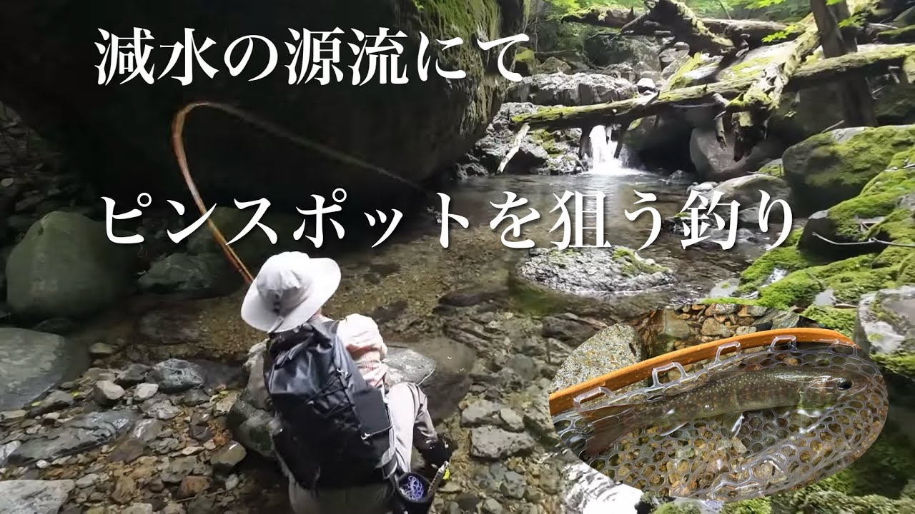減水した源流でピンスポットを狙う釣り　【フライフィッシング】
