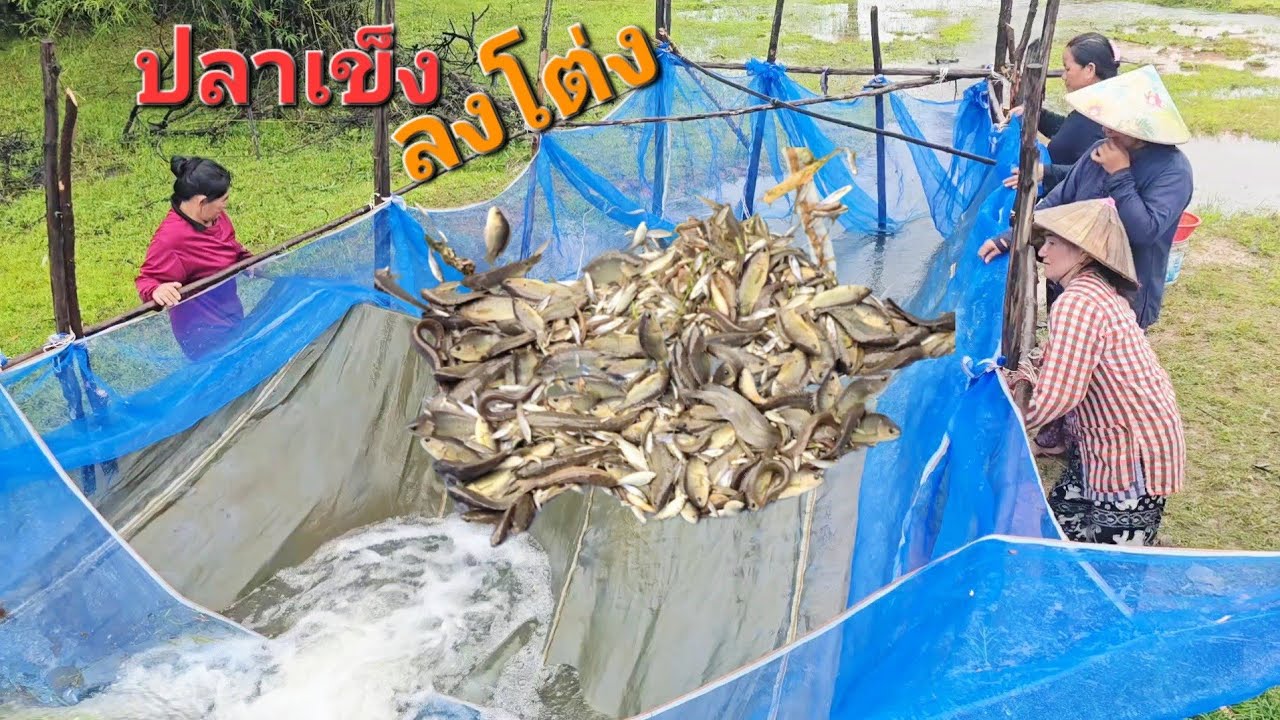 ปลาลงเยอะทุกรอบ.