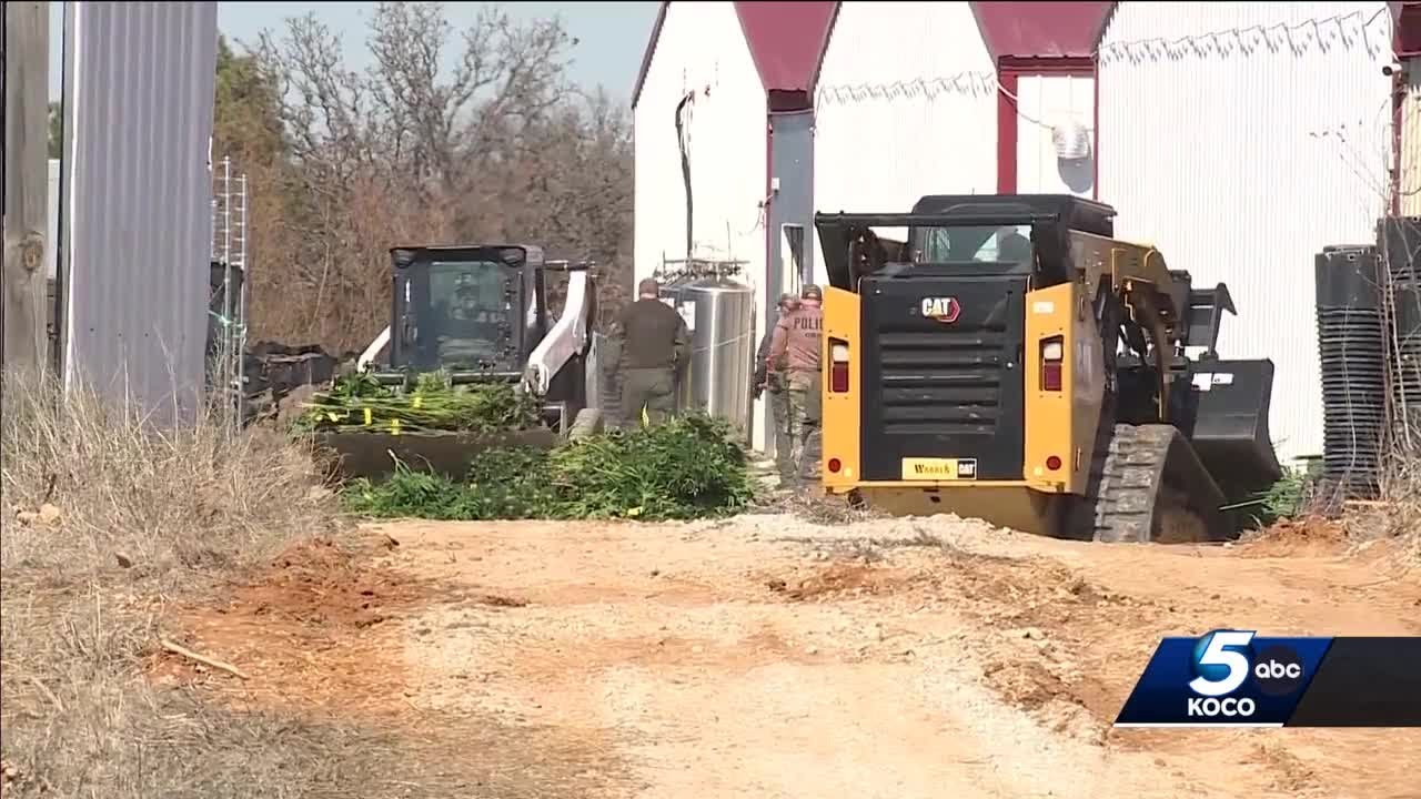 Massive Oklahoma marijuana grow bust leads to 19 taken into custody