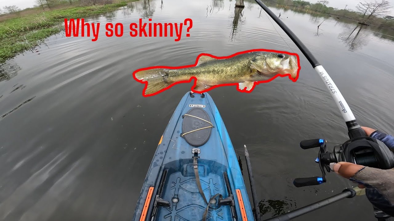 Are the bass in post spawn?