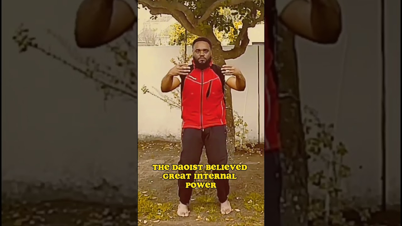 Tai Chi Guy demonstrates internal power gained from zhan zhuang practice