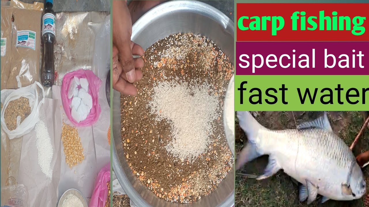 Pakistan river fishing|river chanab fishing|catla mirgal Rahu gulfam fishing|best for carp fishing