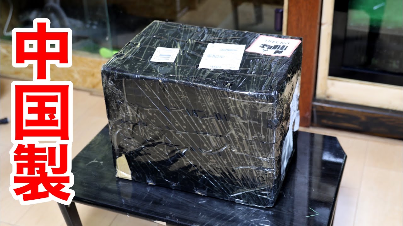 中国から水槽を取り寄せたらとんでもない物が届きました…