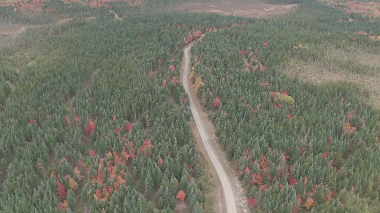 Expedition North Woods 2025