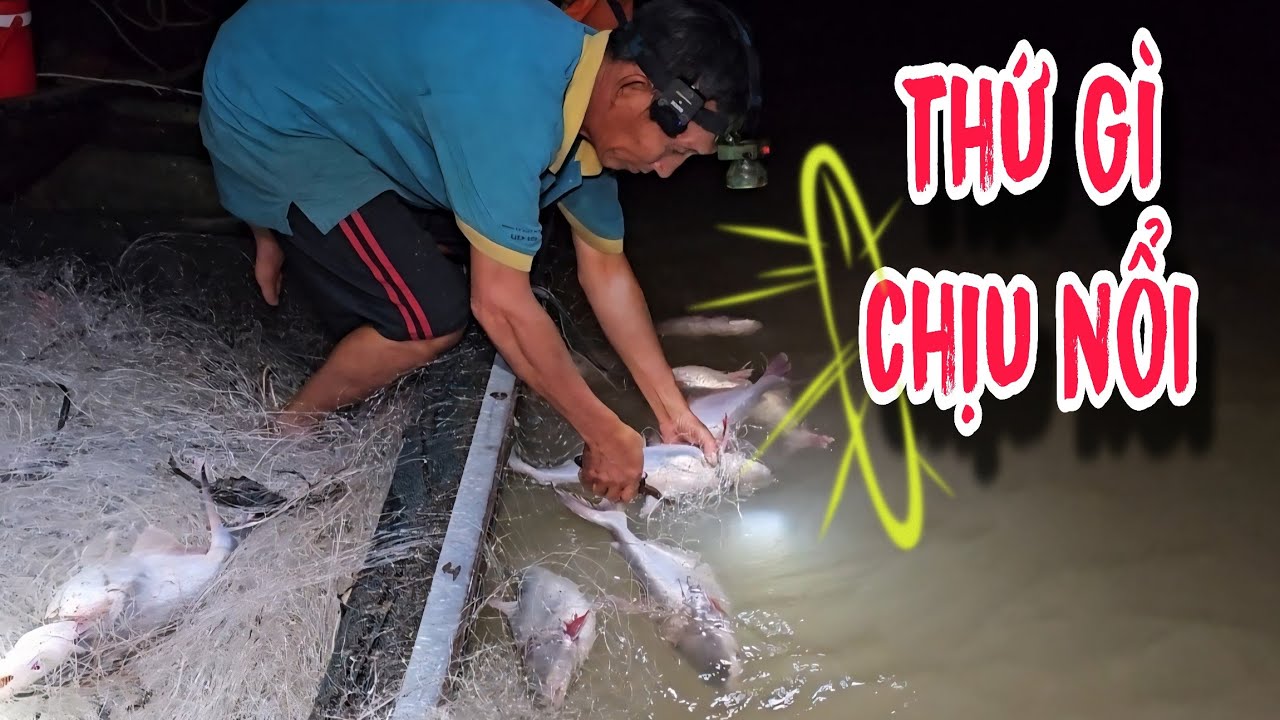 Bầy Cá Lôi Anh Tèo Văng Khỏi Ghe , Đêm Lưới Cuối Cùng Chia Tay Khán Giả | #66TV #fishing