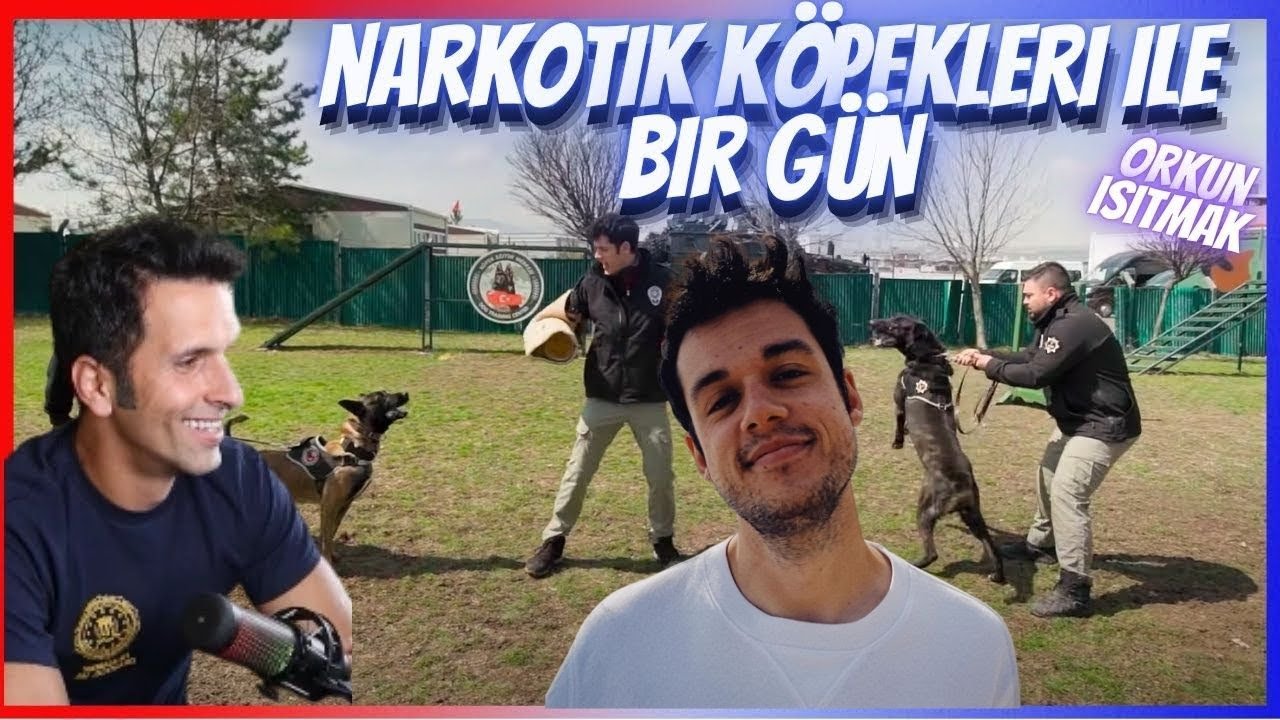 TÜRKİYE'DE NARKOTİK KÖPEKLERİ ( ORKUN IŞITMAK )  |AMERİKALI AYNASIZ