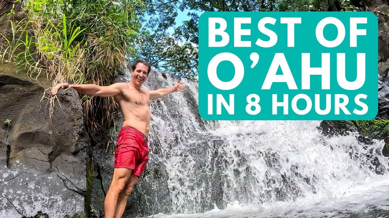 Best of Hawaii in 8 Hours: Oahu Circle Island Tour