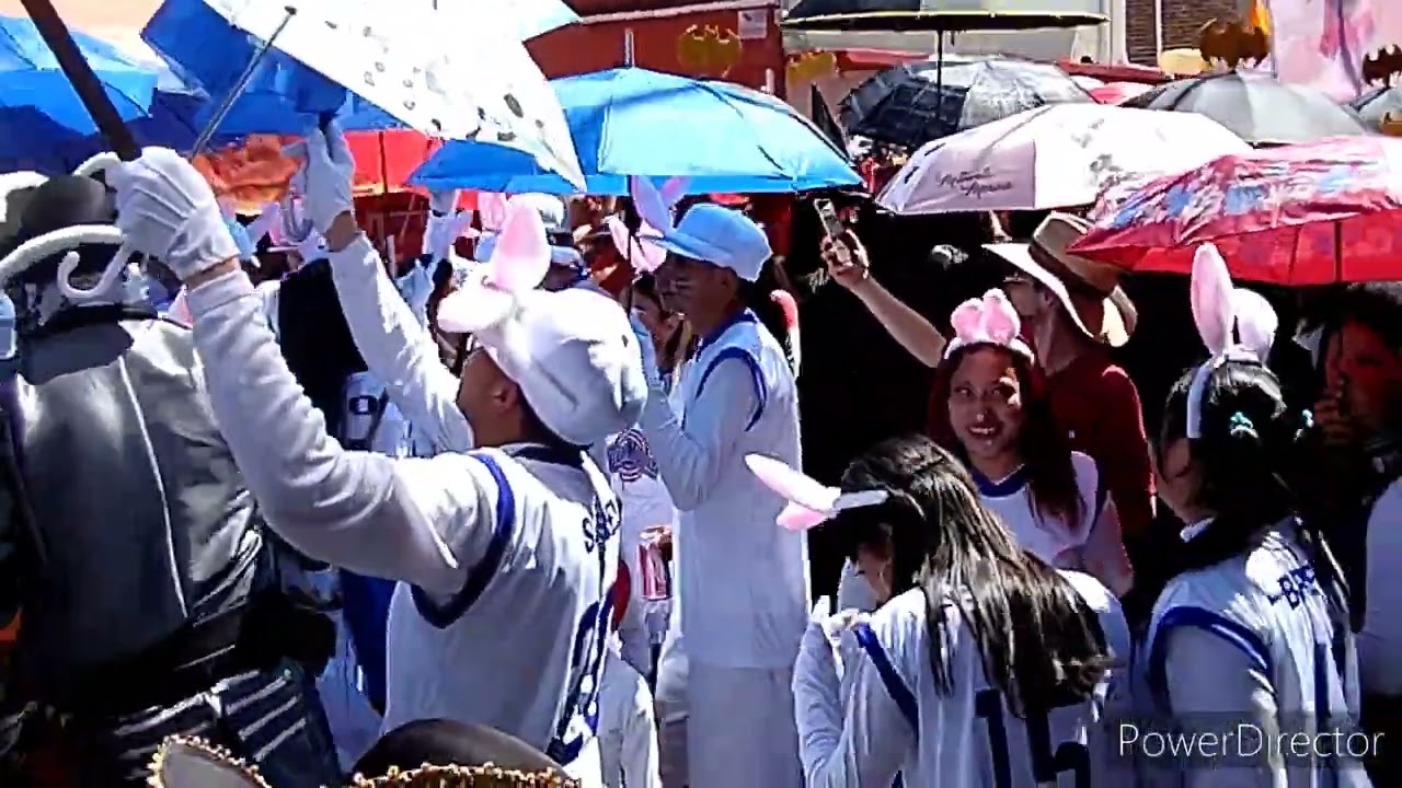 Carnaval de los Animalitos San Juan de Aragon 2024