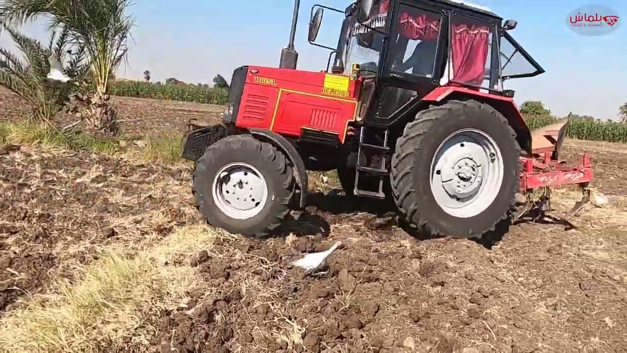 تجربة الجرار البيلا روسي في الحقل