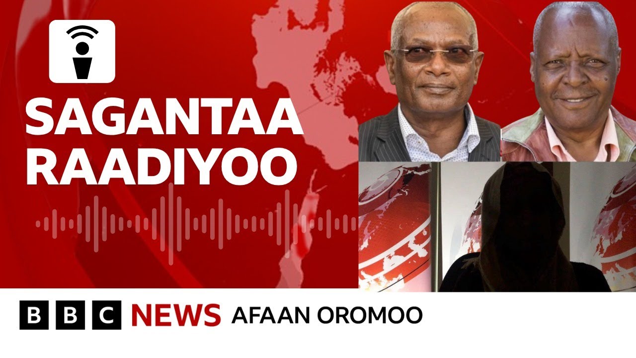 Dhibeen Arsiifi Harargeetti tibbana mul’ate maali? | BBC News Afaan Oromoo