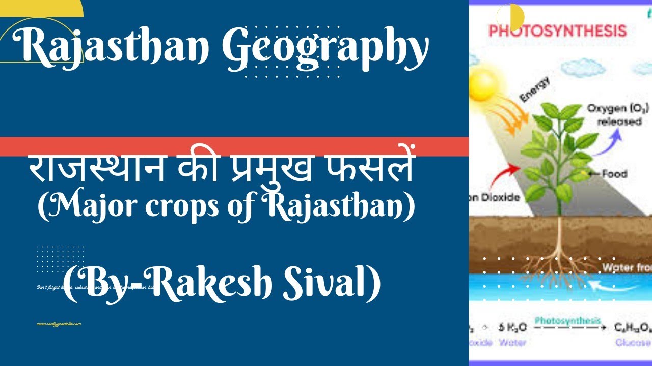 राजस्थान की प्रमुख फसलें (Major crops of Rajasthan) #rasmains2024 #rpsc #patwar #rssmb #teacher #cet