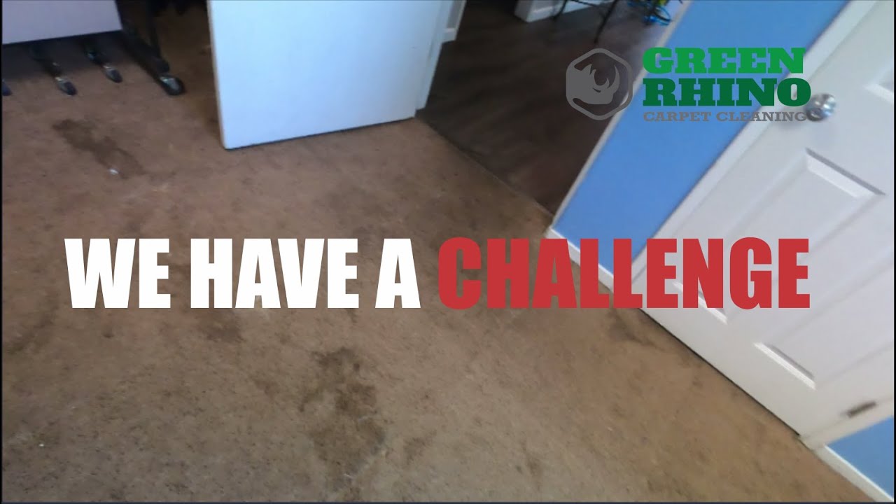 Carpet Cleaning Business | Will VLM Work On This Filthy Carpets ?