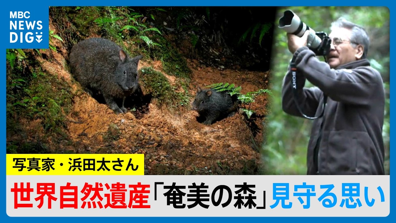 奄美の森に魅せられ45年　写真家・浜田太さんが写真集に込めた思い　次世代に託したい世界自然遺産の森(MBCニューズナウ 2026年2月12日放送）