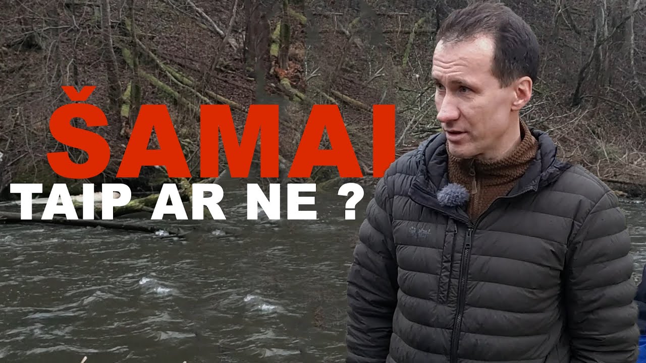 Šamai mūsų ežeruose - gerai ar blogai?