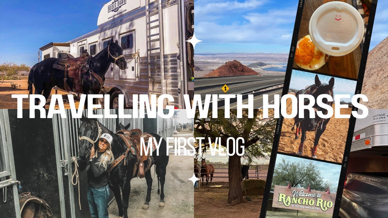 TRAVELLING WITH HORSES: trailering from Arizona to Canada