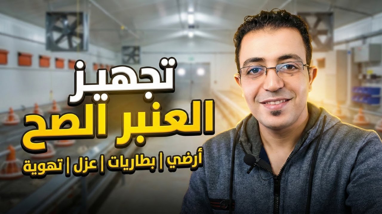تجهيز عنبر فراخ التسمين بالكامل | بطاريات – أرضي – عزل – شفاطات – خلايا | مع استشارى الدواجن