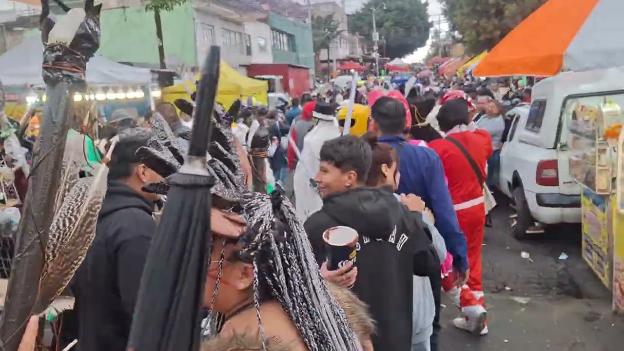 Carnaval peñon de los baños 2026 barrio de los reyes 188