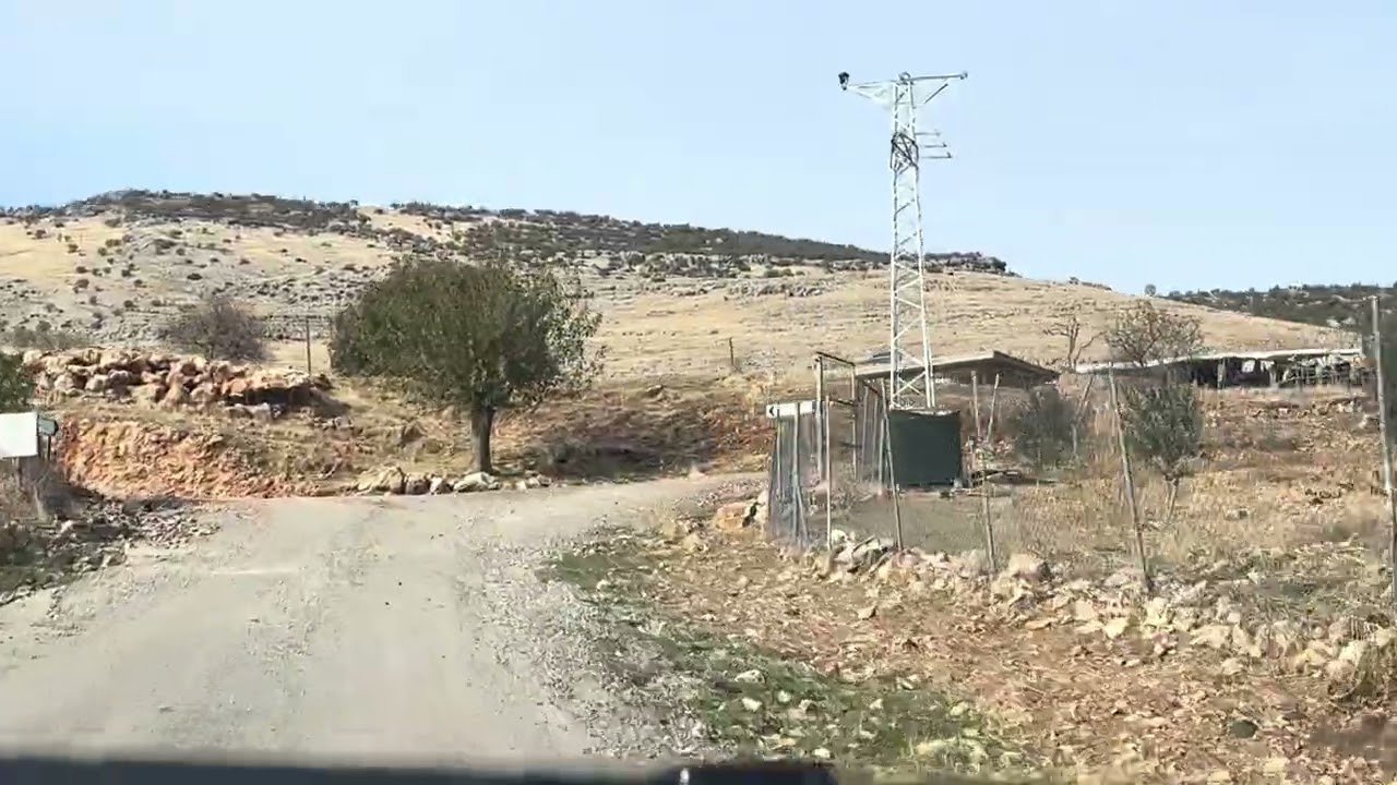 Olbiş