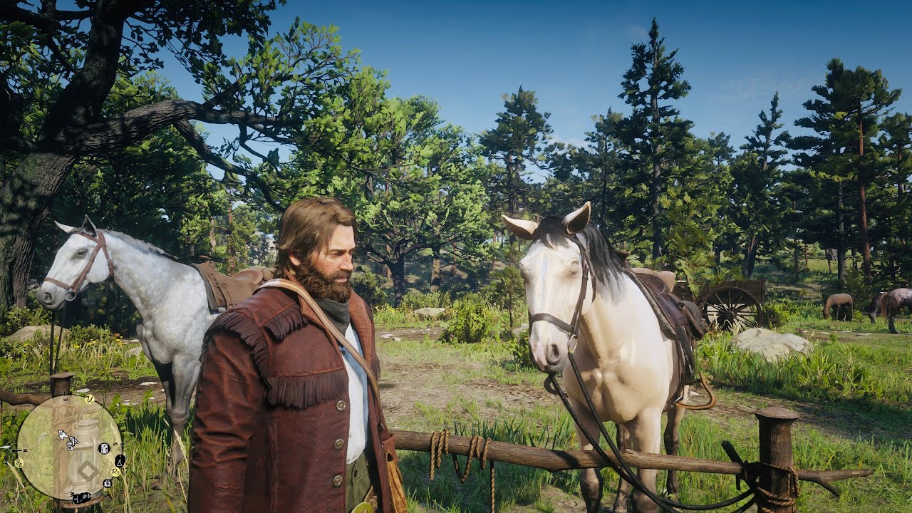 RED DEAD REDEMPTION 2 4K 60FPS video game