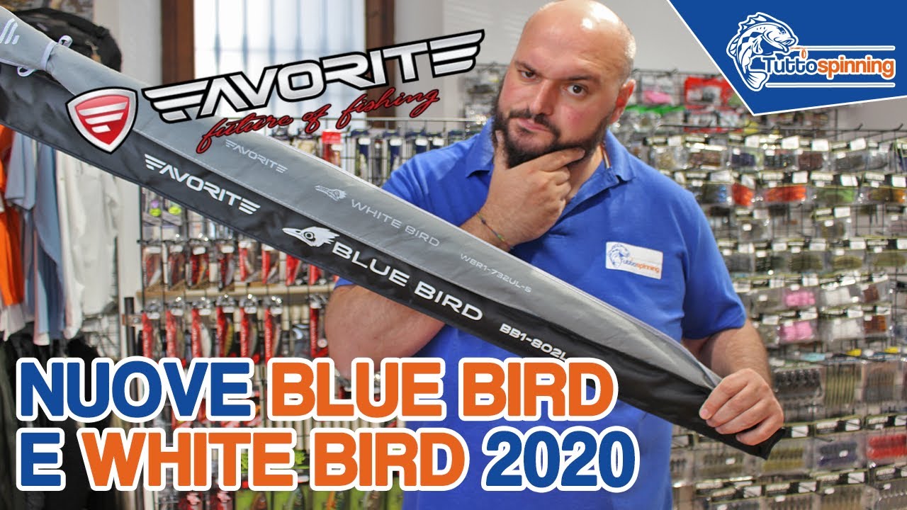 SE NE SENTIVA VERAMENTE IL BISOGNO? RESTYLING FAVORITE BLUE BIRD & WHITE BIRD