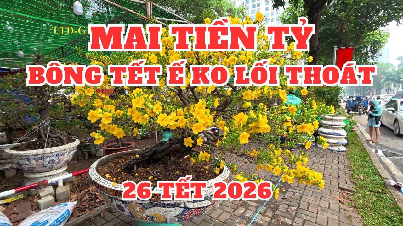 Chợ hoa Tết 2026 tại Phú Mỹ Hưng Quận 7