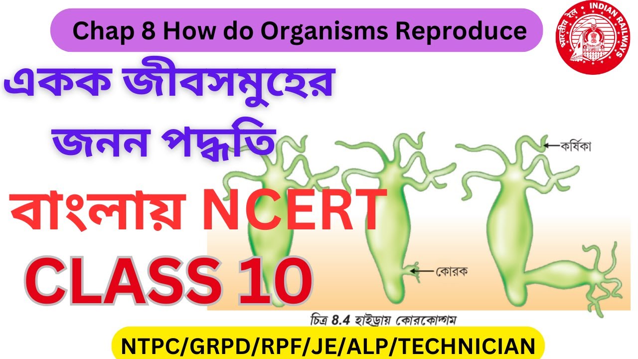 বাংলায়  NCERT || CLASS 10  Chapter  8  জীব সমূহের জনন কার্য ||  একক জীবের জনন পদ্ধতি সমূহ
