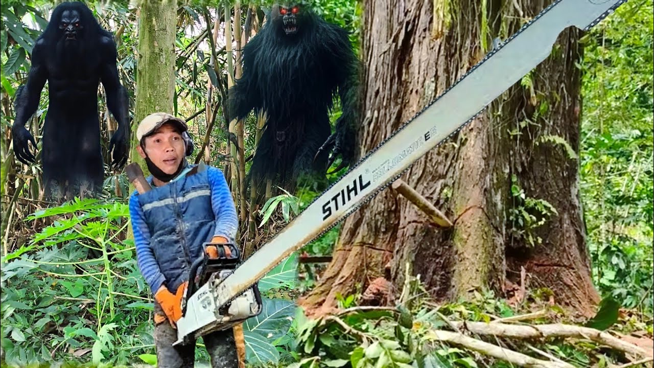 TUMBANG POHON RAKSASA! Momen mengerikan saat kayu ini ditebang muncul hantu sepanjang 15 kaki